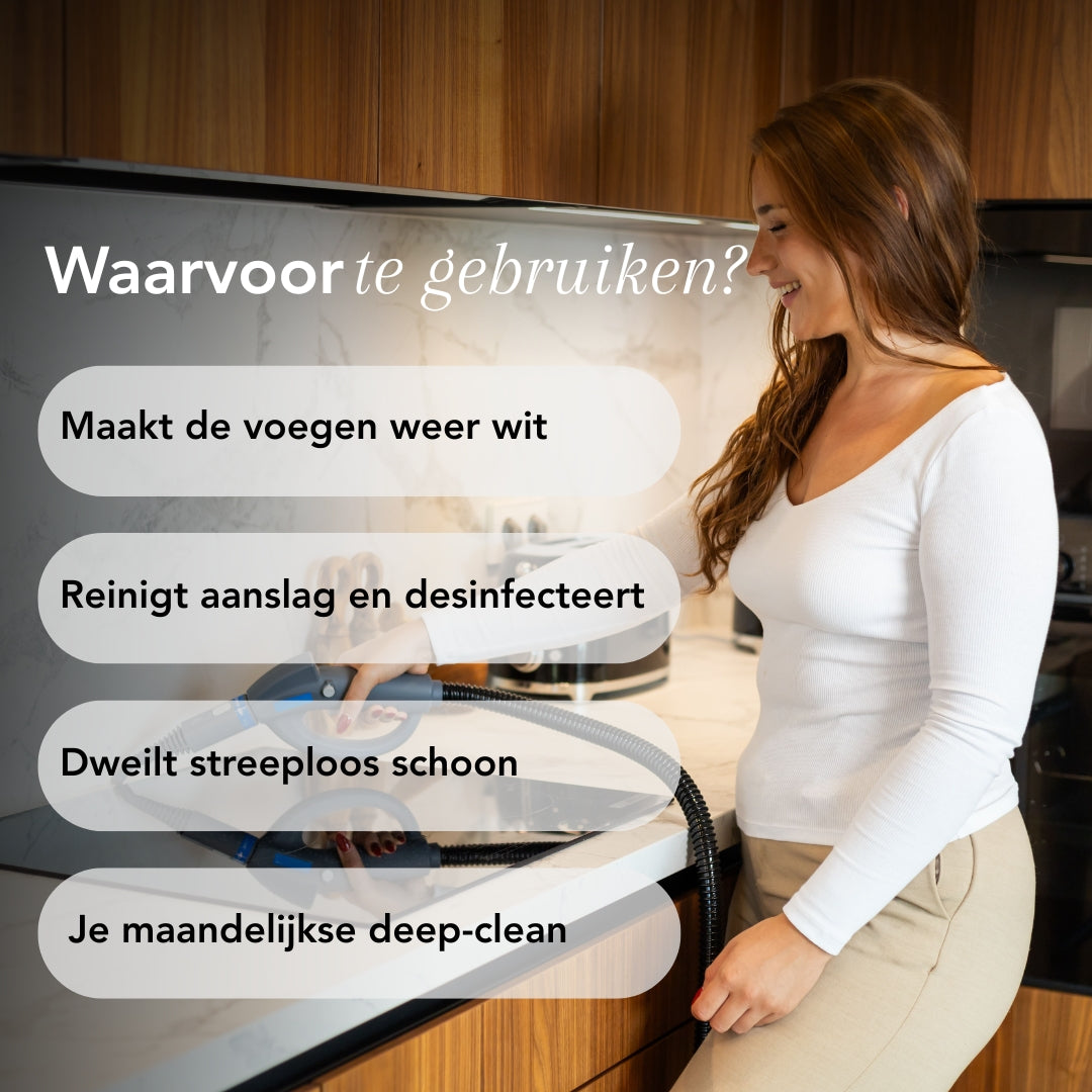 TS1 Nettoyeur à vapeur