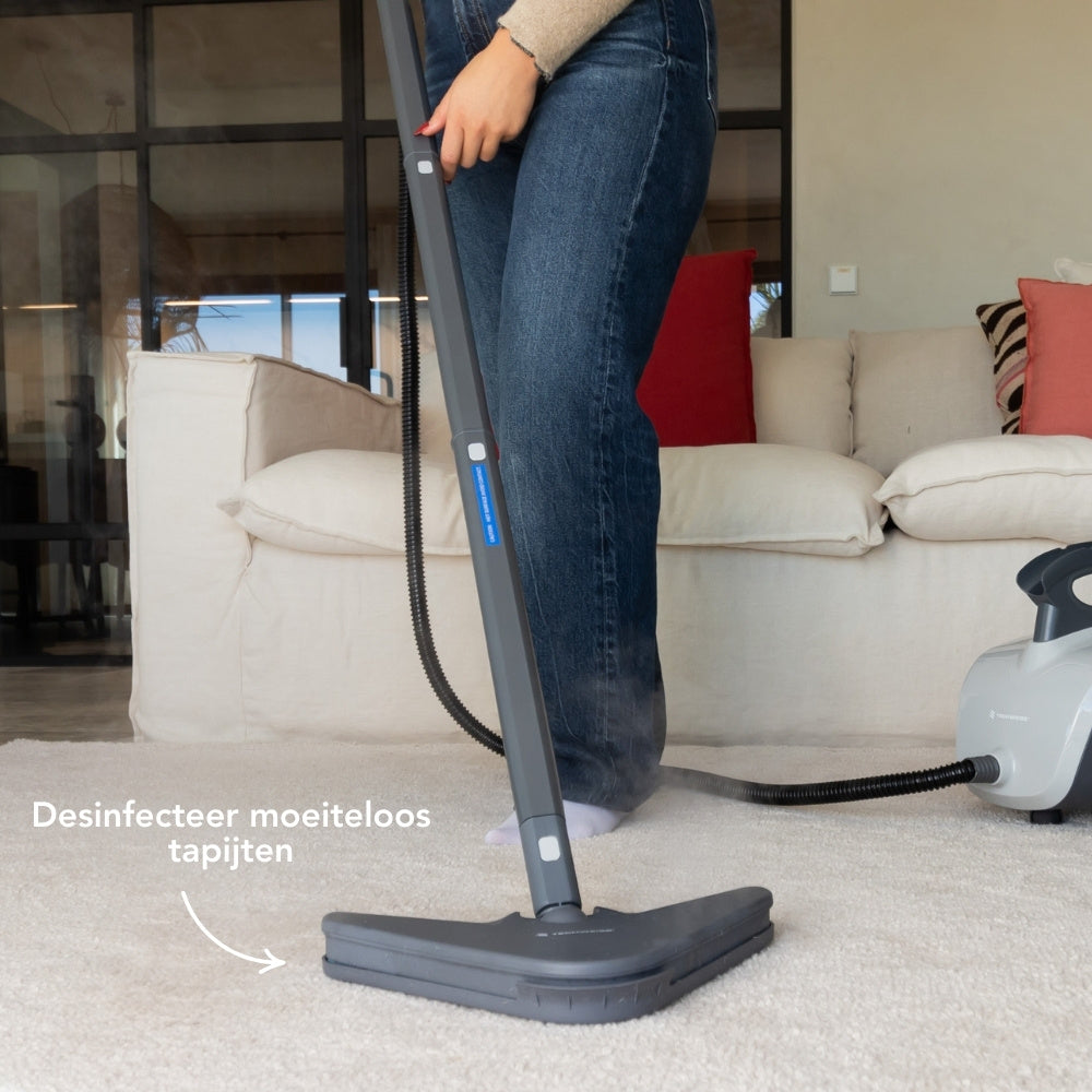 TS1 Nettoyeur à vapeur