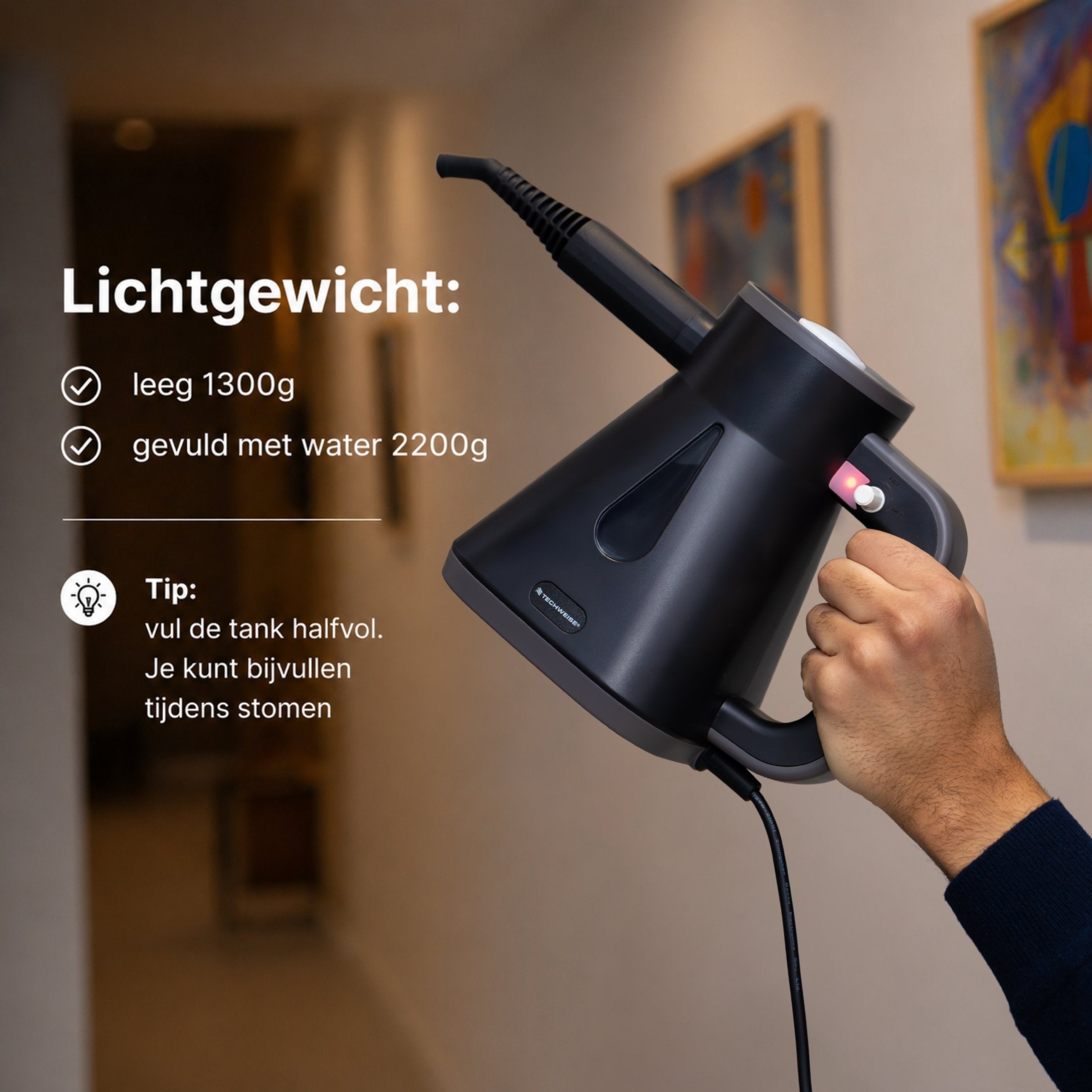 Nettoyeur vapeur à main TS Compact