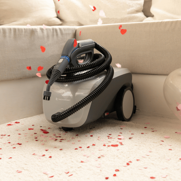 TS1 Nettoyeur à vapeur