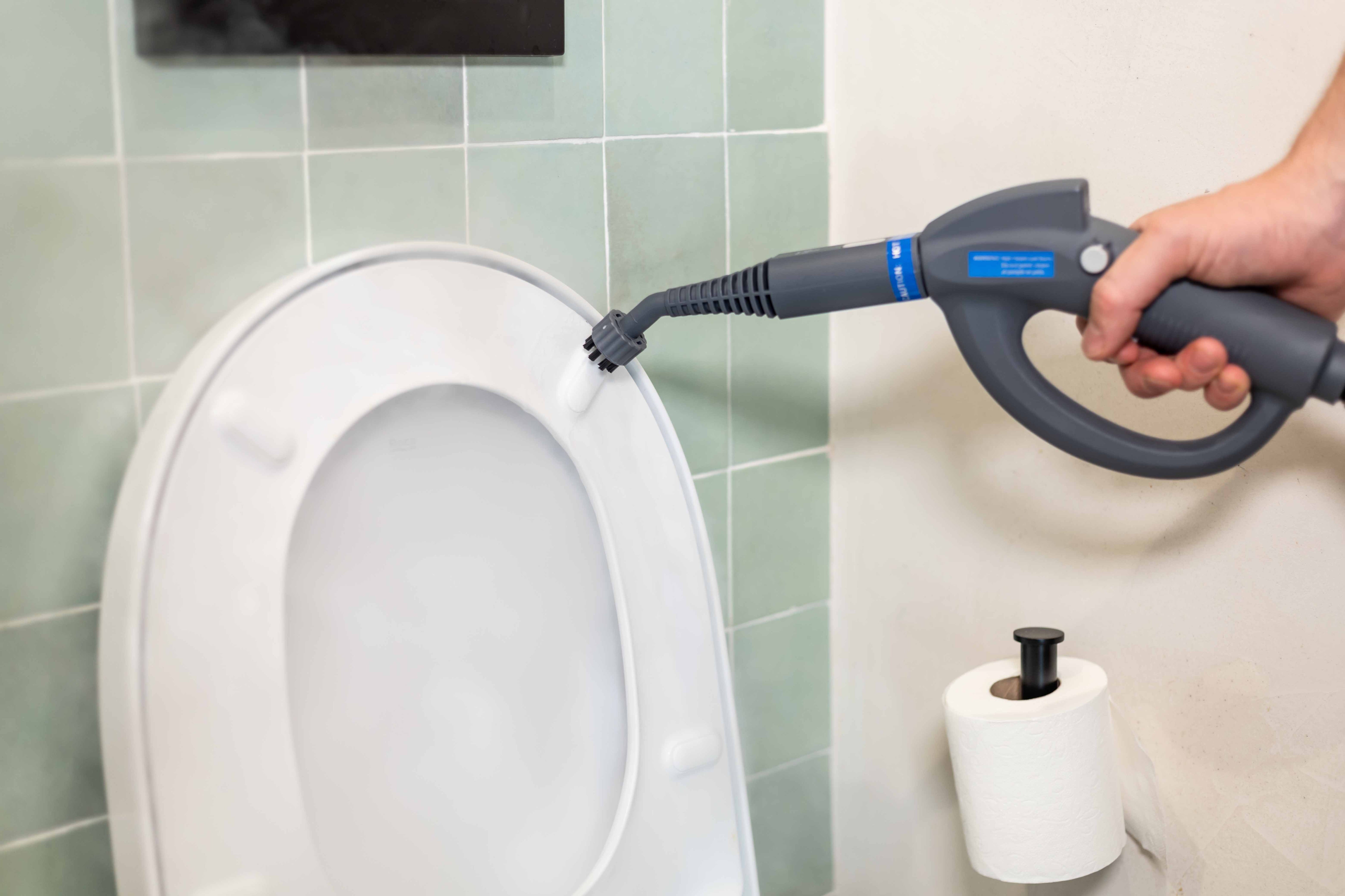 Jeu supplémentaire de 7 brosses TS1