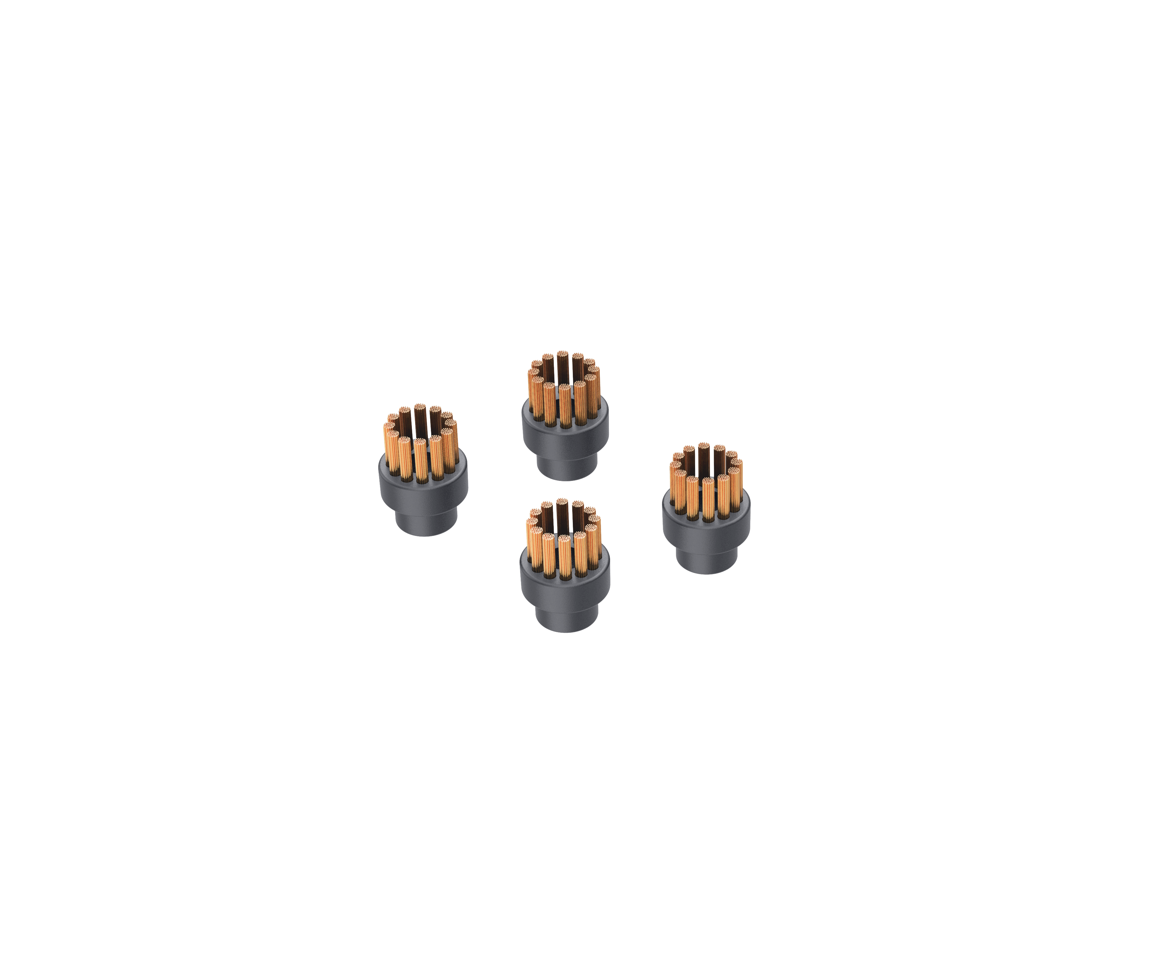 Jeu supplémentaire de 4 brosses en acier TS1