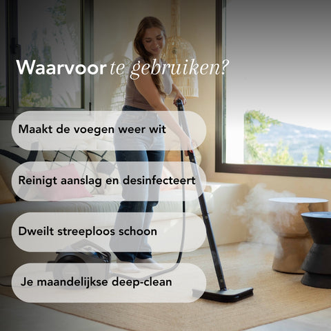 Nettoyeur à vapeur TS2 Performance