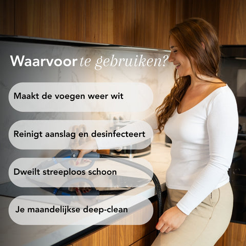 TS1 Nettoyeur à vapeur